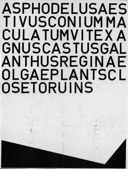 Apostolos Palavrakis, Untitled (Plants close to ruins), 2011, graphite on paper, 155x200cm