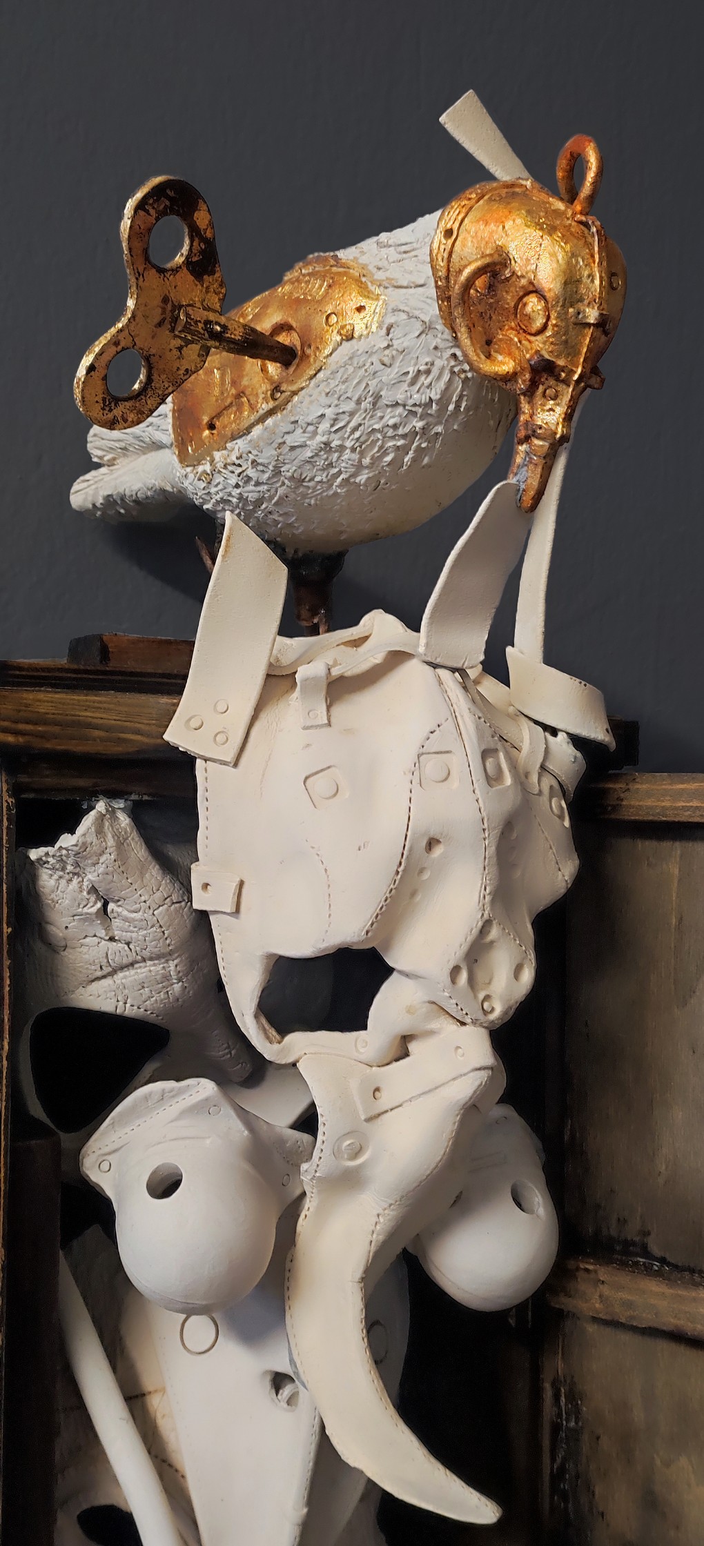 IMG_20240217_120723-Recovered (1)